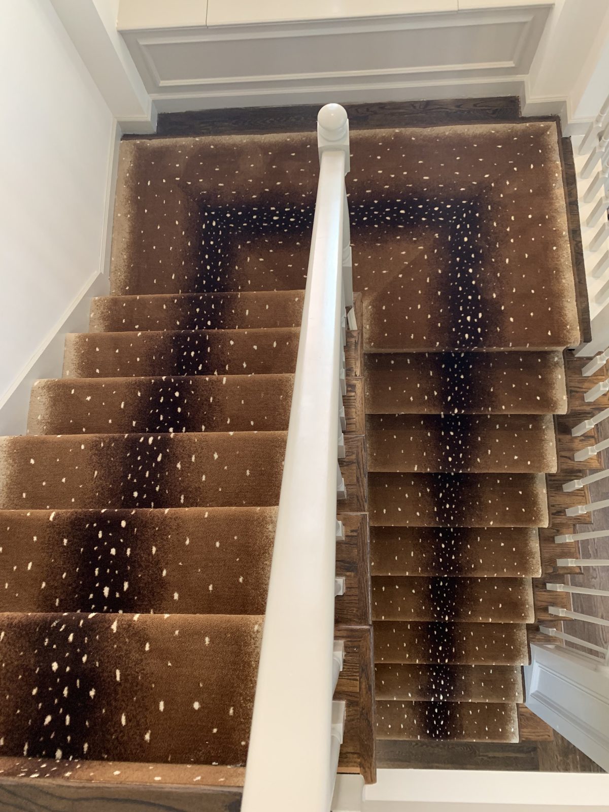 Antelope-print stair runner on dark wood stairs