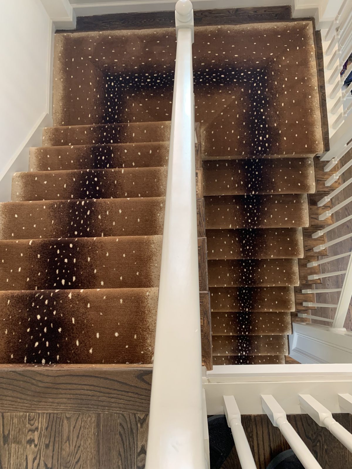 Antelope-print stair runner on a straight staircase to a landing